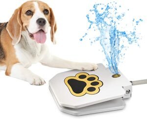 #5 Videosystem Dog Water Fountain