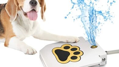 Best water sprinkler toys for dogs UK