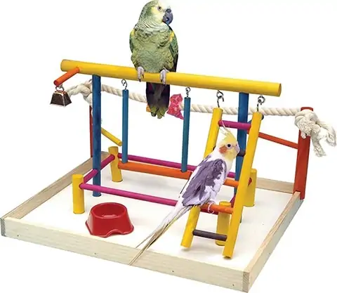Best interactive parrot toys