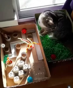 Ultimate kitty puzzle