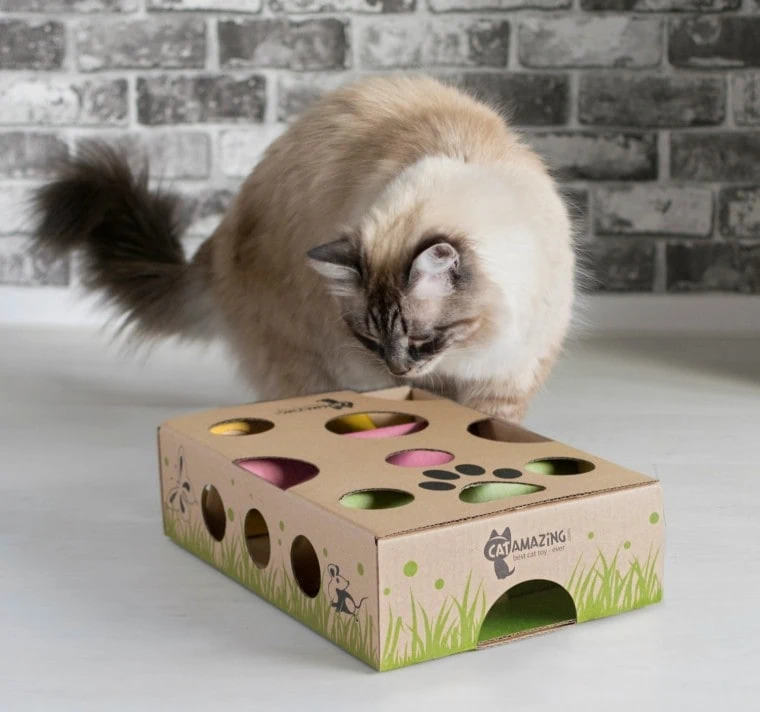 Best cat toys for high energy cats UK
