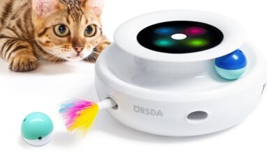 Good cat toys for indoor cats when owner is away 2024